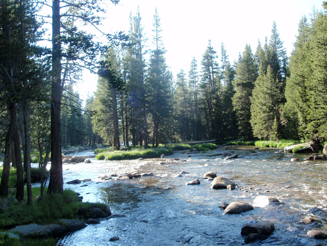 C-Yosemite&around52
