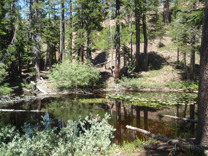 C-Yosemite&around68