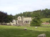 J-York-04RiveauxAbbey19